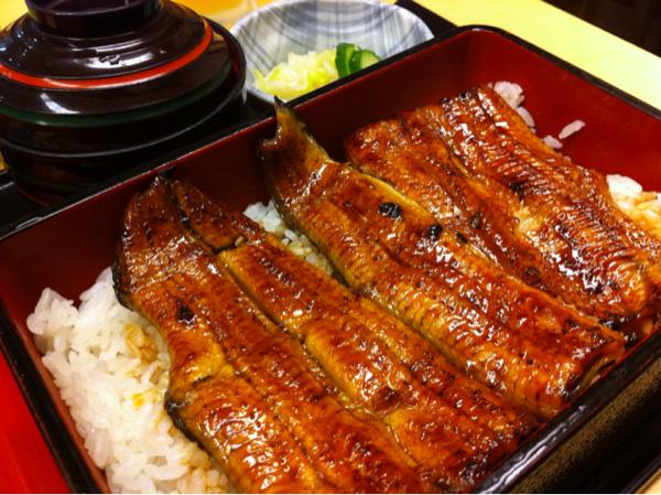 ウナギに学ぶ、アンティークコインを見分ける方法！！