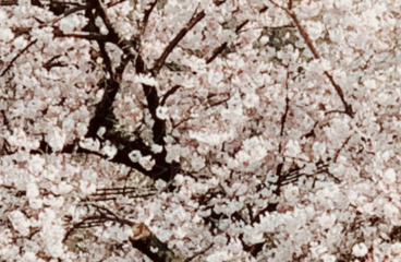 営業時間短縮のご案内