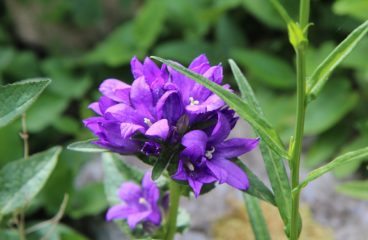 感謝を忘れない