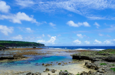 夏季休業のお知らせ